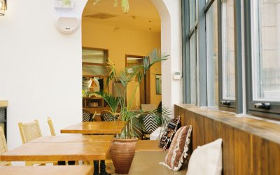Local SEO Tips for Langley Small Businesses